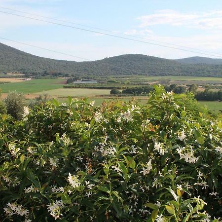 Agriturismo Podere Montenero Альберезе Екстер'єр фото