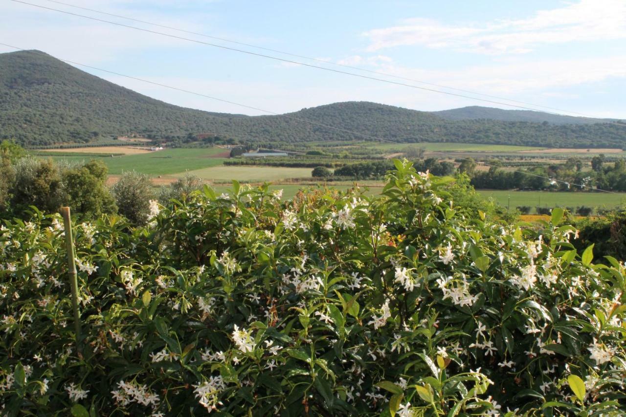 Agriturismo Podere Montenero Альберезе Екстер'єр фото